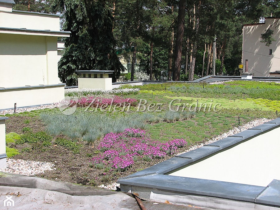 Ekstensywny ogród na dachu - zdjęcie od Zieleń Bez Granic Hanna Irek