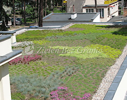Ekstensywny ogród na dachu - zdjęcie od Zieleń Bez Granic Hanna Irek - Homebook