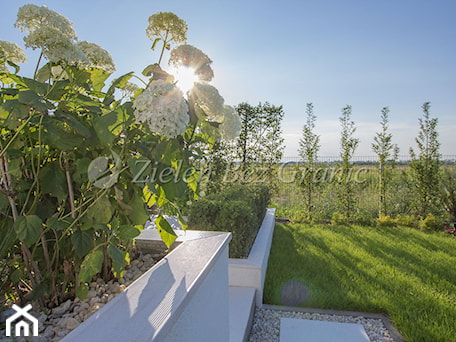 Aranżacje wnętrz - Ogród: Elegancka donica z hortensjami - Zieleń Bez Granic Hanna Irek. Przeglądaj, dodawaj i zapisuj najlepsze zdjęcia, pomysły i inspiracje designerskie. W bazie mamy już prawie milion fotografii!