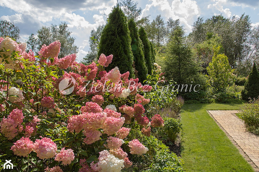 Geometryczny ogród - Ogród, styl tradycyjny - zdjęcie od Zieleń Bez Granic Hanna Irek