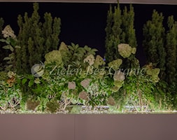 Rośliny podświetlone nocą - zdjęcie od Zieleń Bez Granic Hanna Irek - Homebook