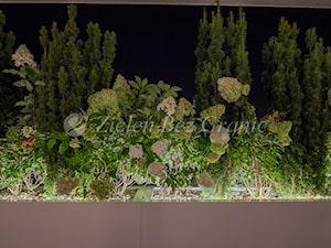 Rośliny podświetlone nocą - zdjęcie od Zieleń Bez Granic Hanna Irek