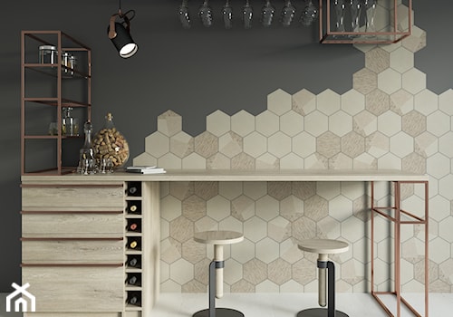 Esagon - Mała otwarta szara kuchnia jednorzędowa, styl industrialny - zdjęcie od Ceramika Paradyż