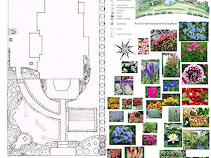 Wielokwiatowy - Ogród, styl tradycyjny - zdjęcie od Patio i ogród Niezapominajki Pracowania Architektury Krajobrazu