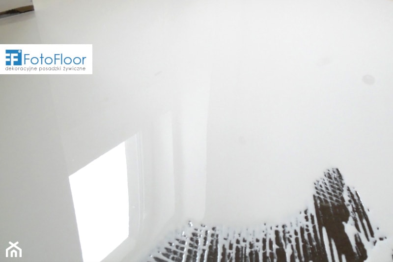 Gładka posadzka graficzna w kolorze białym - zdjęcie od FotoFloor - Homebook