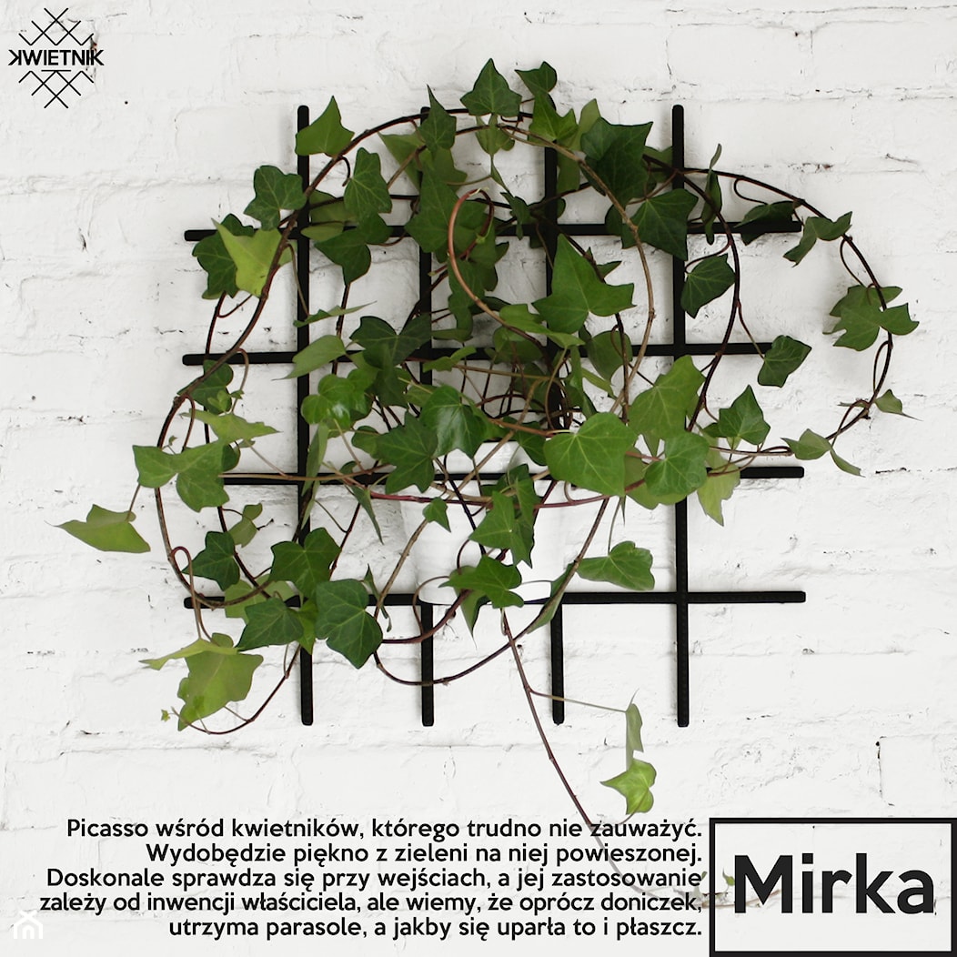 KWIETNIK Mirka - zdjęcie od KWIETNIK - Homebook