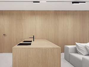 Projekt mieszkania typu studio - Kuchnia, styl minimalistyczny - zdjęcie od mess architects