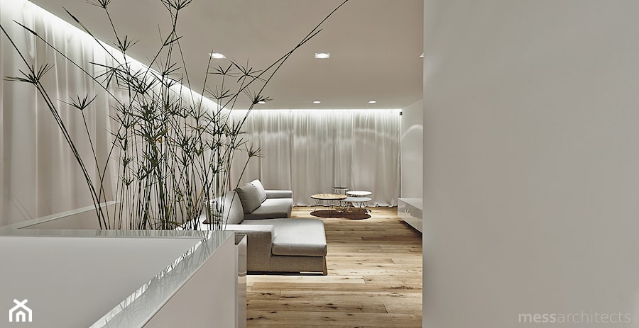 Projekt wnętrza domu pod Łodzią - Średni biały salon, styl nowoczesny - zdjęcie od mess architects