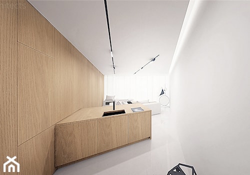 Projekt mieszkania typu studio - Średnia kuchnia z wyspą lub półwyspem, styl minimalistyczny - zdjęcie od mess architects