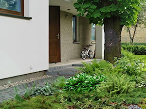 Ogród w Warszawskim Międzylesiu - zdjęcie od KingaBerowska