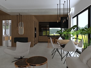Projekt domu - Salon, styl nowoczesny - zdjęcie od KOKOdesign - STUDIO PROJEKTOWE - Polska