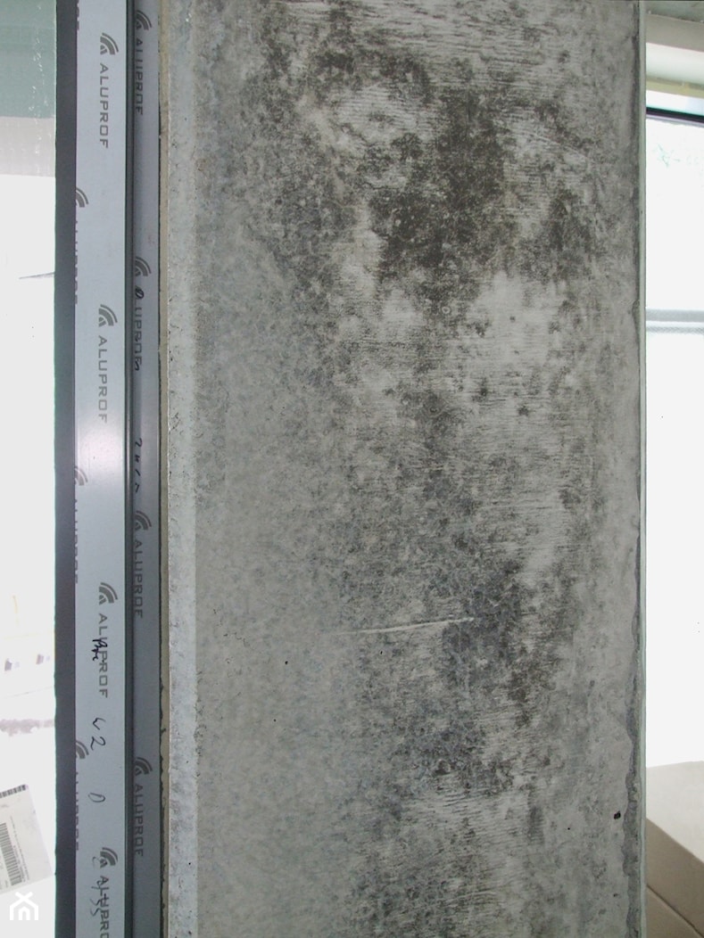 Ościeża przed zabiegiem kosmetyki - zdjęcie od betonkosmetik POLSKA - Homebook