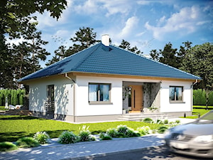Front ARP TRYTON CE - Dom.pl - zdjęcie od Dom.pl Projekty domów