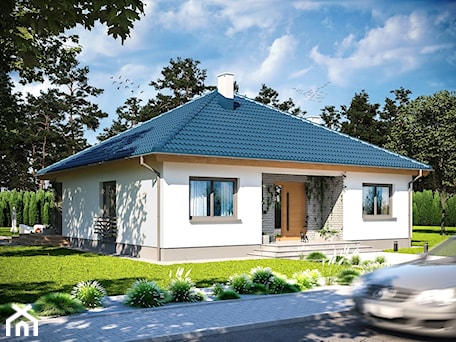 Aranżacje wnętrz - Domy: Front ARP TRYTON CE - Dom.pl - Dom.pl Projekty domów. Przeglądaj, dodawaj i zapisuj najlepsze zdjęcia, pomysły i inspiracje designerskie. W bazie mamy już prawie milion fotografii!