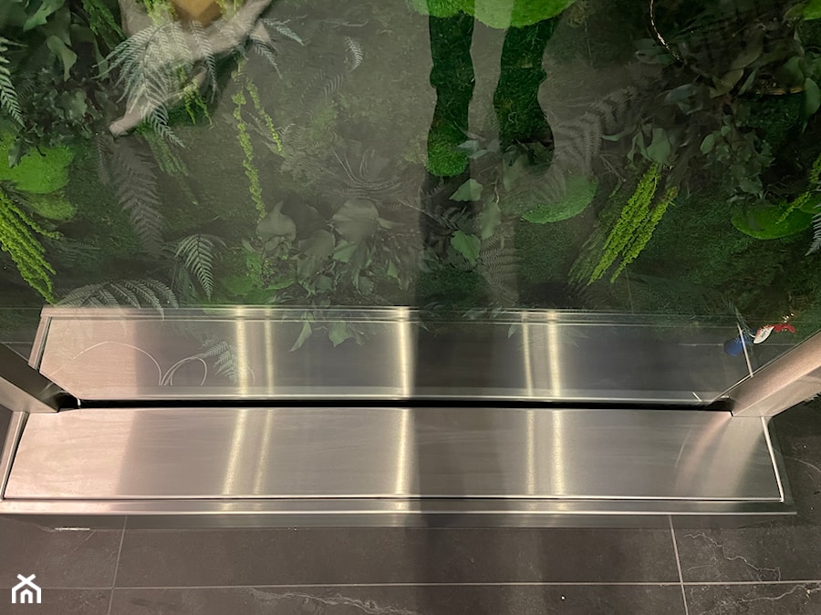 zielone lustro wodne - zdjęcie od wodart