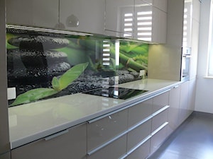 Panel szklany z grafiką - zdjęcie od Szklarz Glass Decorator Nowoczesne Szkło dla Architektury