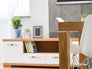 Mieszkanie dla mężczyzny - Salon, styl nowoczesny - zdjęcie od BWA-STUDIO