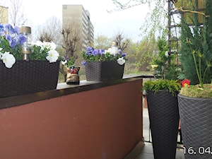 balkonik - zdjęcie od Teresa Pluta
