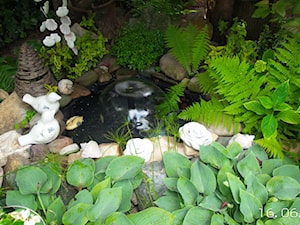 Ogród z oczkiem wodnym - zdjęcie od Teresa Pluta