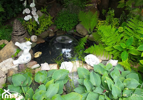 Ogród z oczkiem wodnym - zdjęcie od Teresa Pluta
