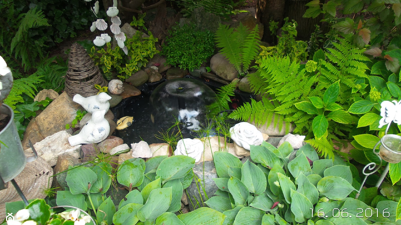 Ogród z oczkiem wodnym - zdjęcie od Teresa Pluta - Homebook