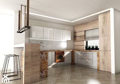 wizualizacja bryły kuchni - zdjęcie od Alina Mokrzycka Architekt / Wnętrza / Grafika
