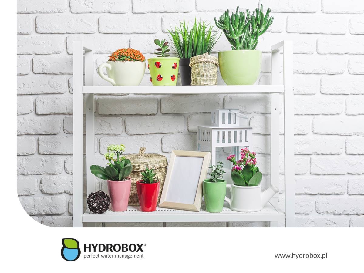 - zdjęcie od Hydrobox - Homebook