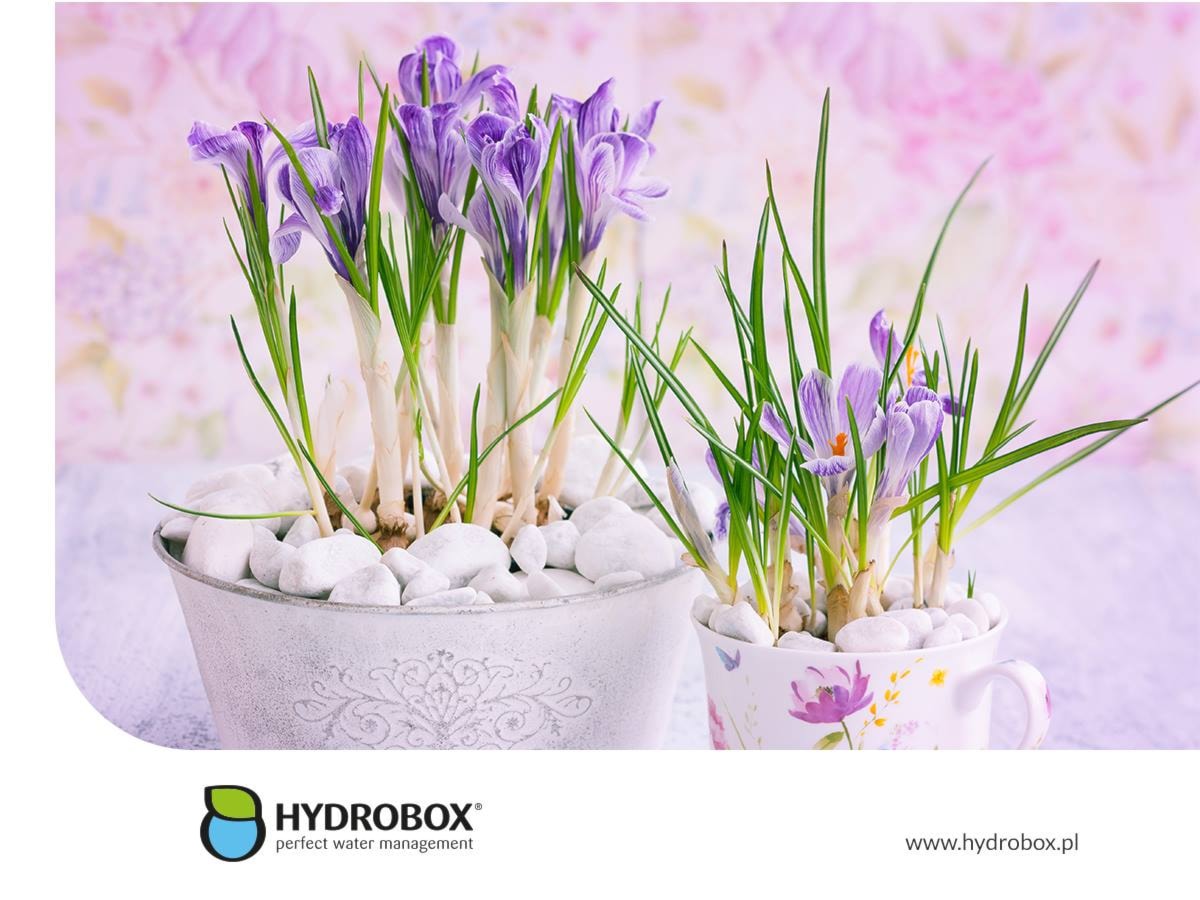 - zdjęcie od Hydrobox - Homebook