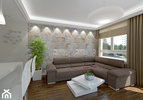 Fornir kamienny jako główny element wystroju wnętrza - Średni salon z jadalnią, styl nowoczesny - zdjęcie od Home Atelier Aneta Rosińska-Dadsi