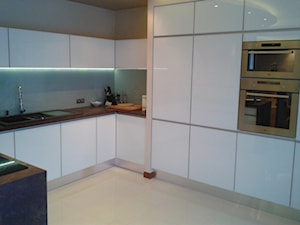 Kuchnia szkło 2 - Średnia otwarta zamknięta z zabudowaną lodówką z nablatowym zlewozmywakiem kuchnia w kształcie litery u, styl nowoczesny - zdjęcie od Łania Meble