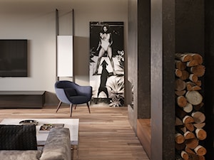Dom 3 - Salon, styl nowoczesny - zdjęcie od Piotr Bileński