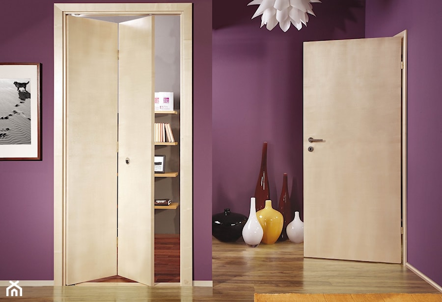 Drzwi wewnętrzne - Średni fioletowy salon - zdjęcie od POL-SKONE