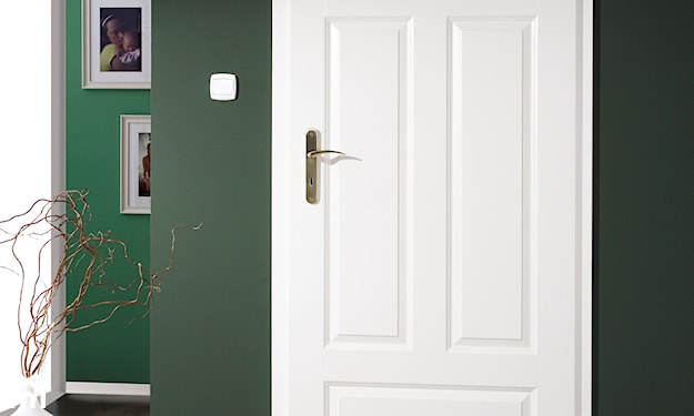 białe drzwi na tle zielonej ściany, ciemnozielone ściany i białe drzwi