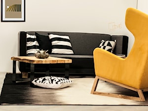 Mocne kontrasty - Salon, styl nowoczesny - zdjęcie od IDE studio