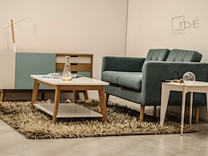 Pokój gościnny w stylu skandynawskim - Salon, styl skandynawski - zdjęcie od IDE studio