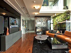 TV - Duży biały czarny salon, styl nowoczesny - zdjęcie od Loewe