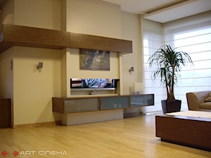 18. Rezydencja w centralnej Polsce - 2010 - Salon, styl minimalistyczny - zdjęcie od Art Cinema