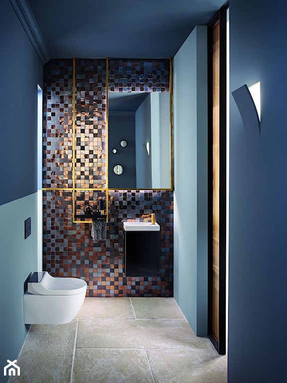 geberit aquaclean