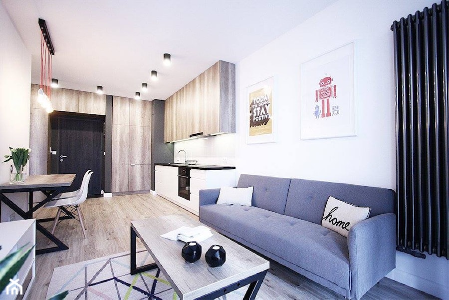 mieszkanie na wynajem - Salon, styl nowoczesny - zdjęcie od Bogaczewicz Architecture Studio