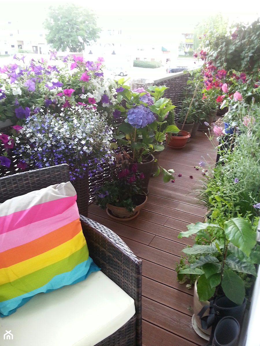 Mój balkon 2015 - Średni z podłogą z desek z meblami ogrodowymi z donicami na kwiaty taras - zdjęcie od KateTax