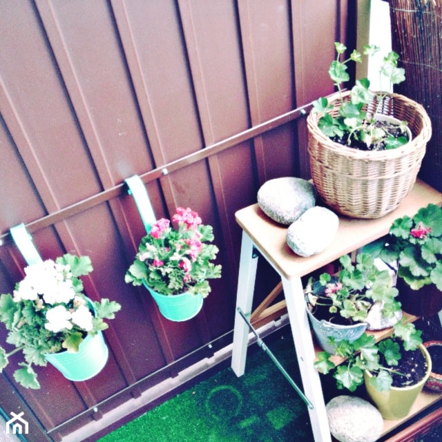 Na balkonie nie zabrakło kwiatów. - zdjęcie od Mamusia Muminka - Homebook
