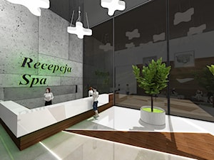 Recepcja Spa - Wnętrza publiczne, styl nowoczesny - zdjęcie od Rajek Projektowanie Wnętrz