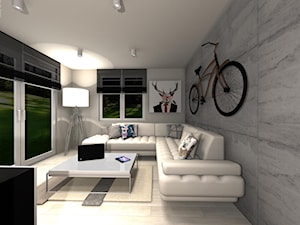 Mieszkanie dla Studenta - Salon, styl nowoczesny - zdjęcie od Rajek Projektowanie Wnętrz