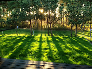 Duży ogród za domem - zdjęcie od Rajek Projektowanie Wnętrz