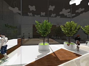 Recepcja Spa - Wnętrza publiczne, styl nowoczesny - zdjęcie od Rajek Projektowanie Wnętrz