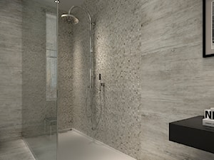 APAVISA NANOICONIC WHITE - zdjęcie od Ceramica Promat