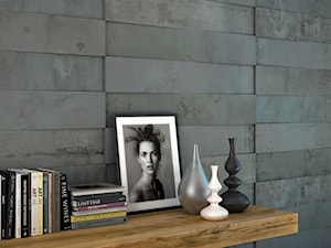 Regeneration black - zdjęcie od Ceramica Promat