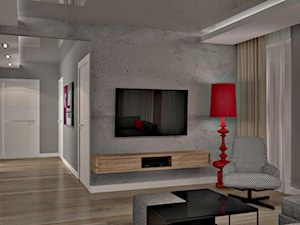 Mieszkanie w Piasecznie 3 - Średni szary salon, styl nowoczesny - zdjęcie od Icona Studio