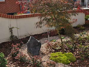 Mini ogród - Ogród - zdjęcie od zielonatravvka