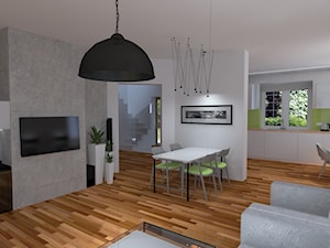 Salon w domu jednorodzinnym na /bielanach - Kuchnia, styl nowoczesny - zdjęcie od Projekt Simple by Prokop Sylwia